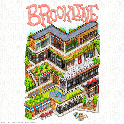 Exploring Brookline Village