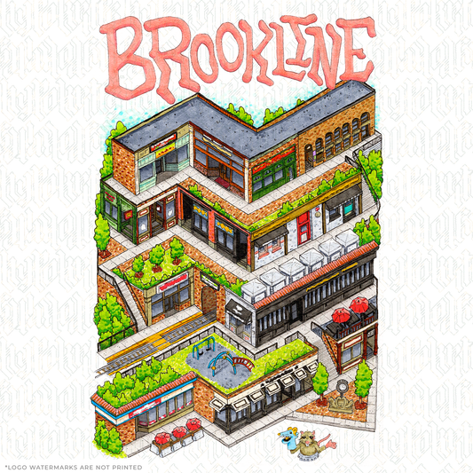 Exploring Brookline Village