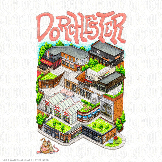 Exploring Dorchester
