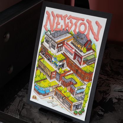 Exploring Newton