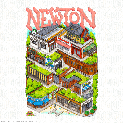 Exploring Newton